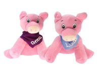 Schwein 17cm mit Namen am Halstuch Schwein 17cm mit Namen am Halstuch